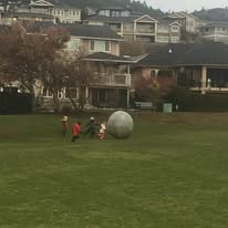 144215437_237206728047199_536340936385293504_n