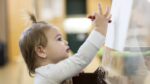 ymca Preschool & Out Of School Care Program