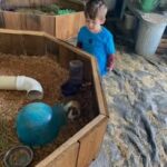 Next Level Childcare Fraser Valley Inc.