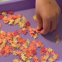 77352939_3114472268569327_5556221237455224832_n