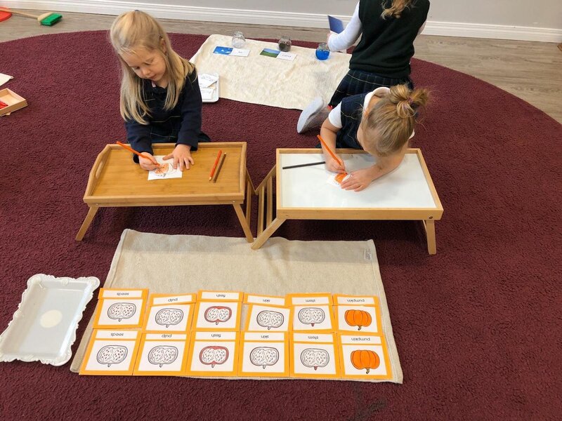 Absorbent Minds Montessori Ltd three
