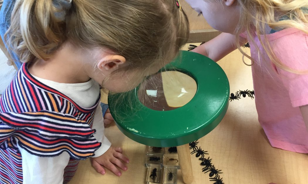 Queen's Park Preschool primary