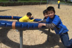 Spare Time Bobolink primary