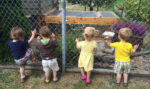 Gillybird Nature Academy