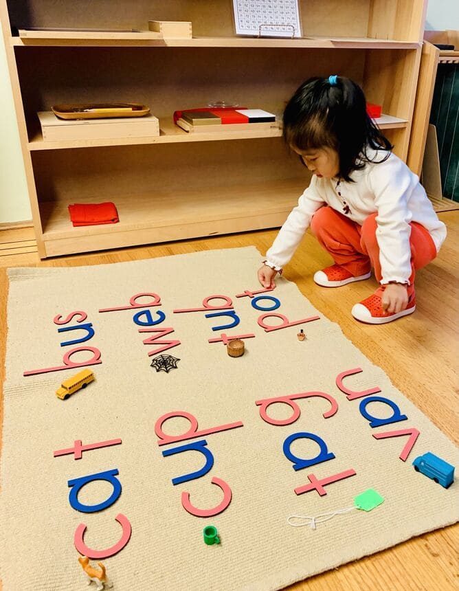 Language-e1637620372793